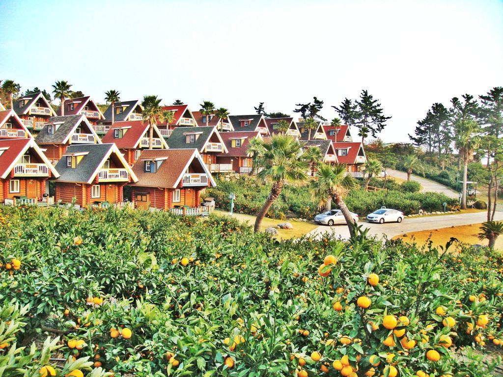 Jungmun Log Pension & Resort Seogwipo Zewnętrze zdjęcie