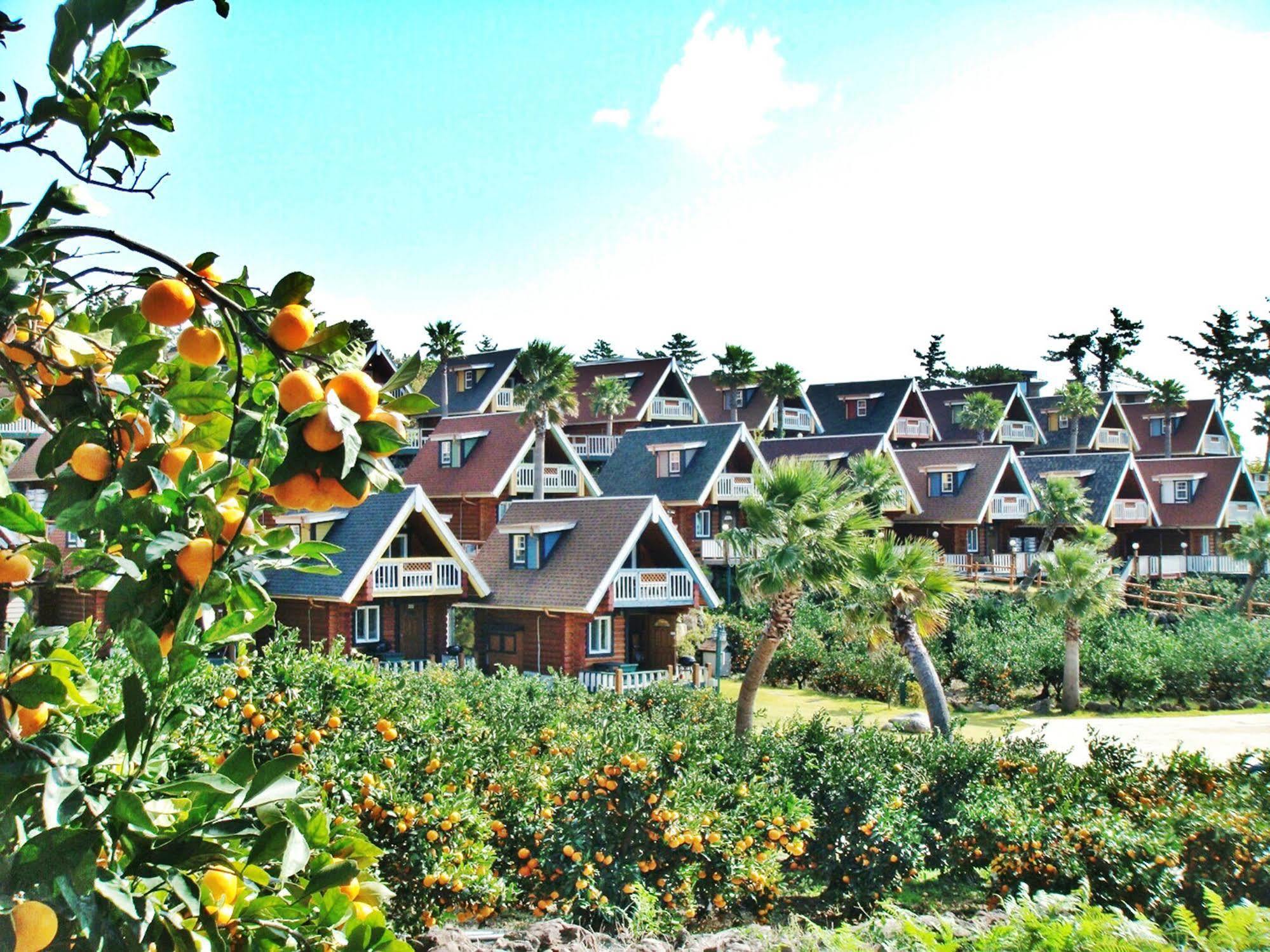 Jungmun Log Pension & Resort Seogwipo Zewnętrze zdjęcie
